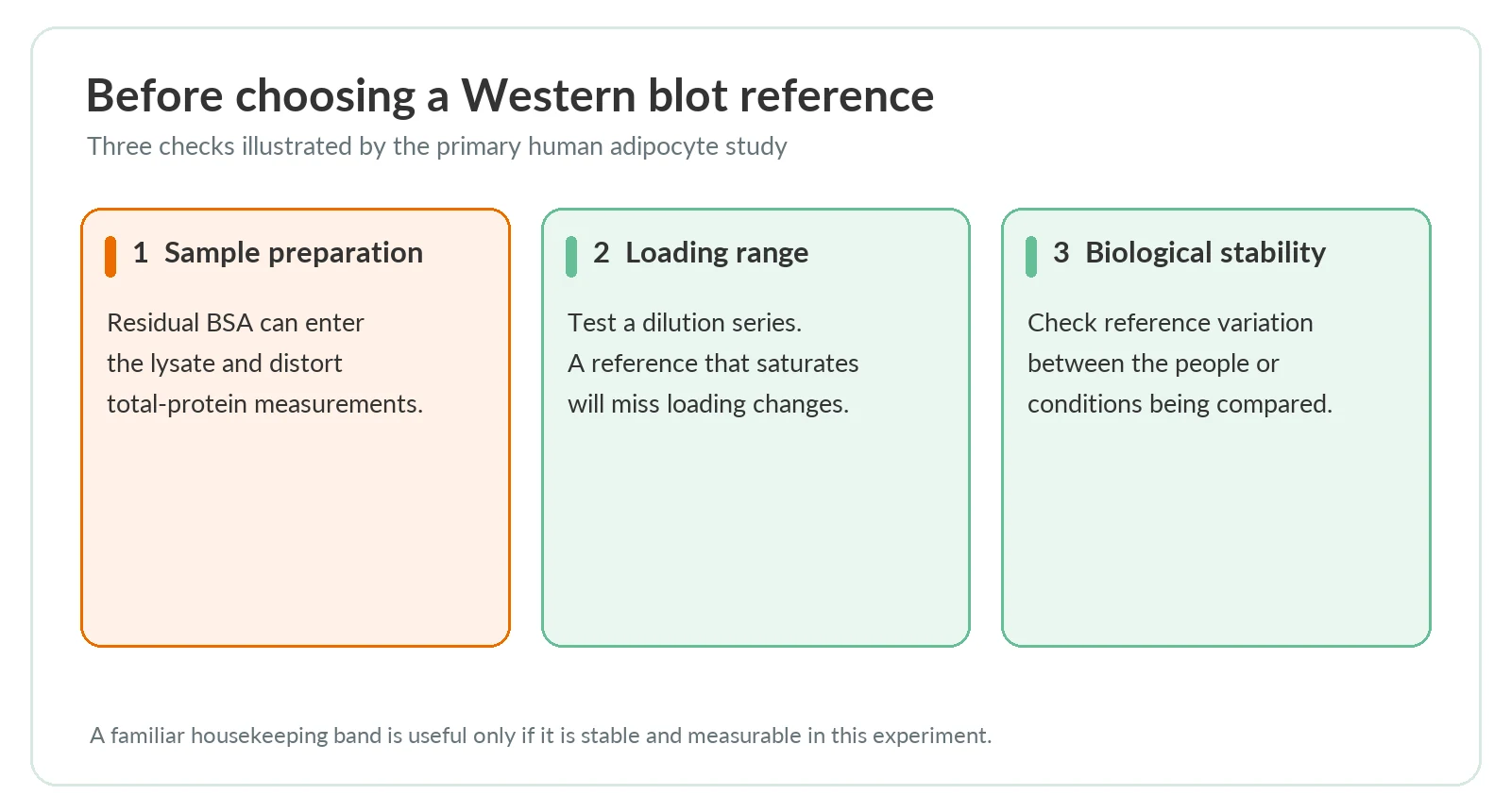 Three checks before selecting a western blot reference