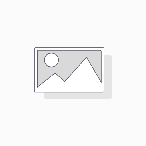 [AFDF13128-100ul] - LETM2 Antibody-100ul