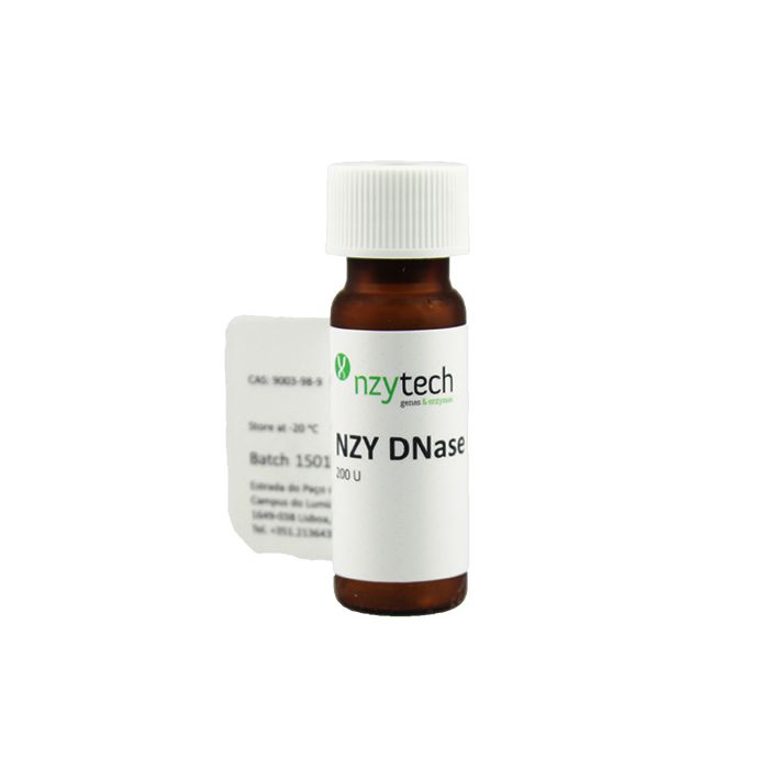[NZMB19901] NZY DNAse I
