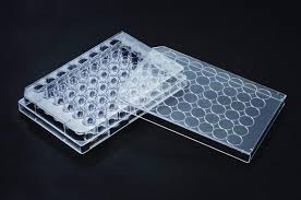 Cell Culture Plate, 48 well, F Bottom, PS, Sterile