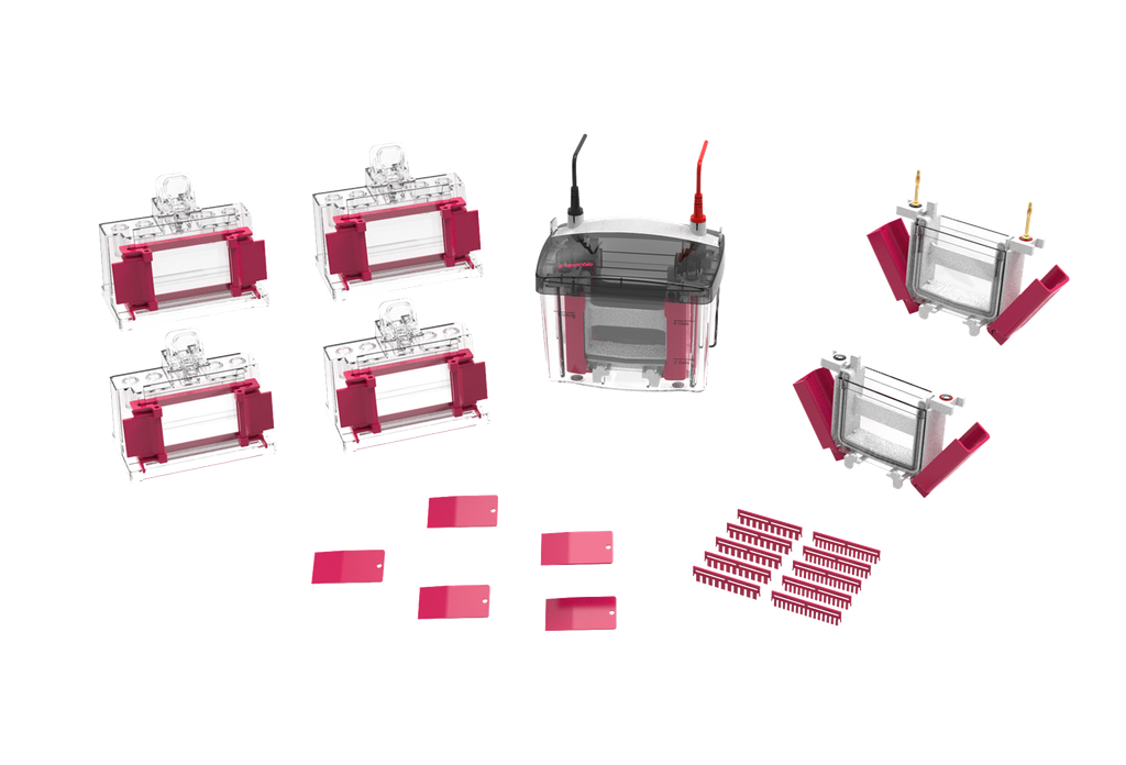 [AP321004] - Pre miniPRO4, 4-precast gel system