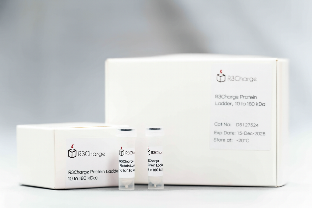 R3Charge Pre-stained Protein Ladder, 10-180 kDa