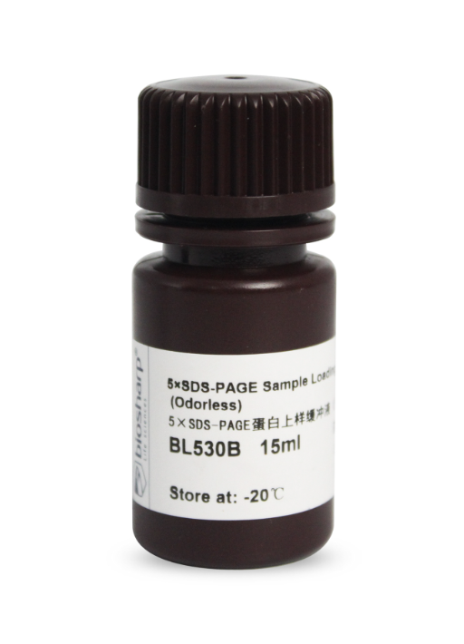 [WSBL530B] - 5× SDS-PAGE Protein Loading Buffer, 15 mL (Odourless)