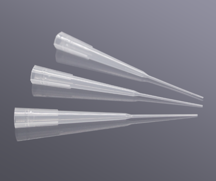 Gel Electrophoresis Loading Tips