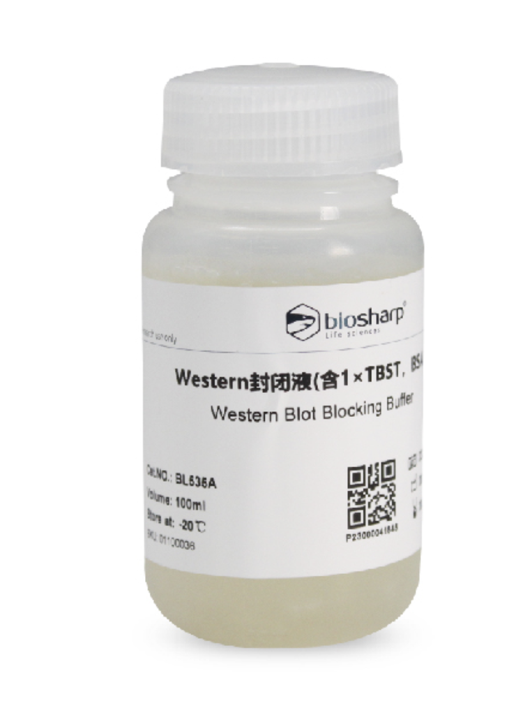 [WSBL535A] - Western Blocking Buffer, 100 mL