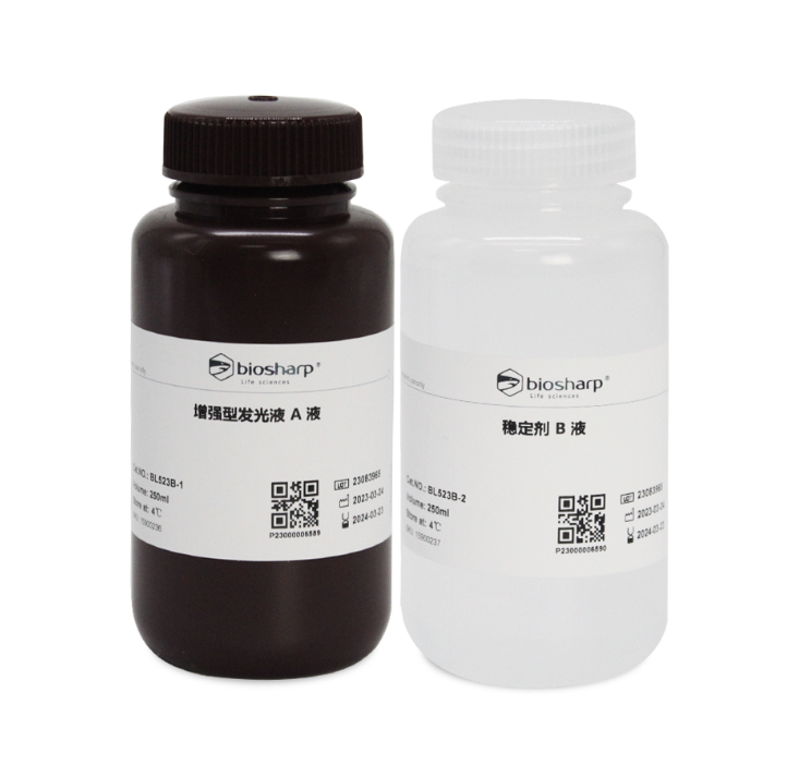 [WSBL520A] ECL Chemiluminescent Substrate (Ultra-sensitive) (100 mL)