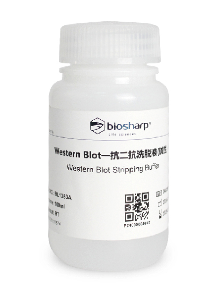 [WSBL1383A] Western Blot Primary and Secondary Antibody Stripping Buffer (Alkaline-based, 100 mL)
