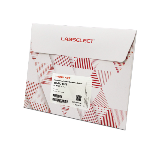 Nitrocellulose Transfer Membrane, Precut, (20)