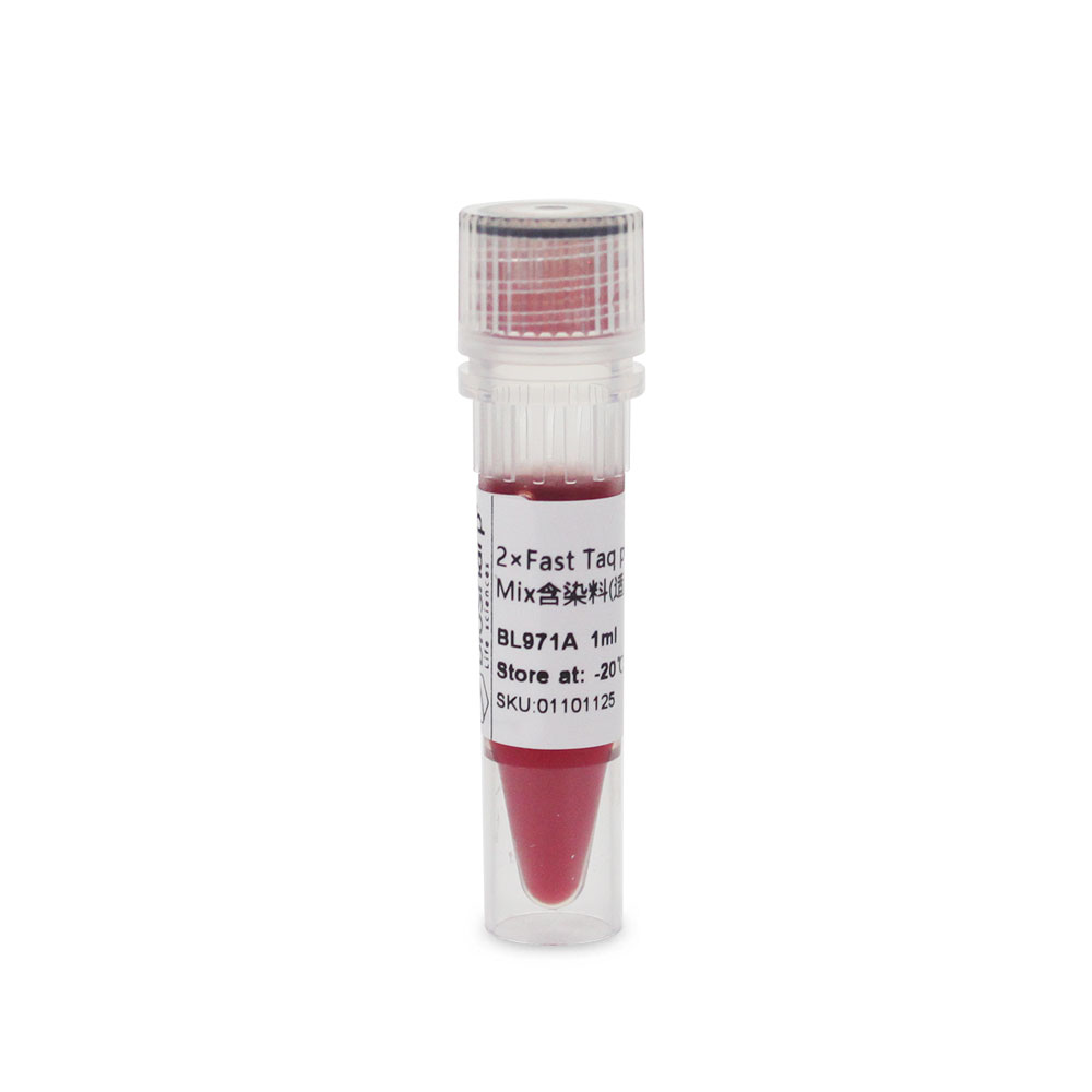 [WSBL971A] 2×Fast Taq plus Master Mix with Loading Dye