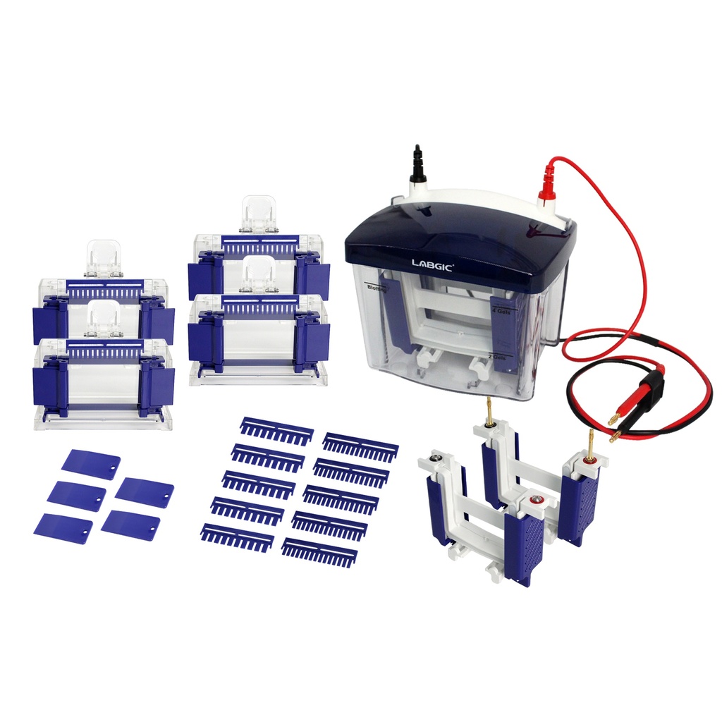 [WS-L-VET-MINI4] Mini Vertical Electrophoresis Cell- Mini4