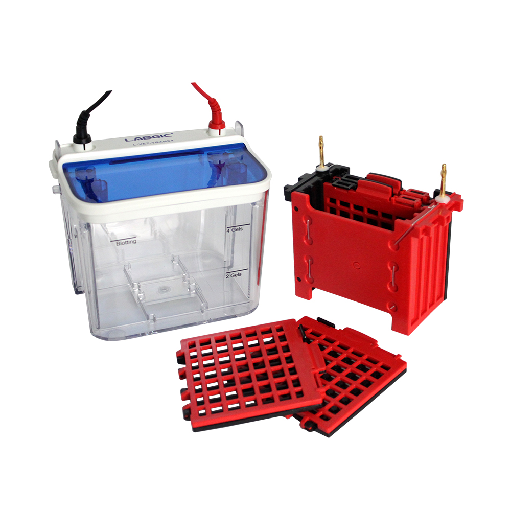 [WS-L-VET-TRANS4] Mini4 Vertical Blot Cell