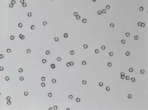 πCode MicroDisc, Pre-activated (20k MD*)