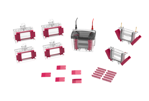 [AP320004] [AP320004] Mini Vertical Electrophoresis Cell-miniPRO4