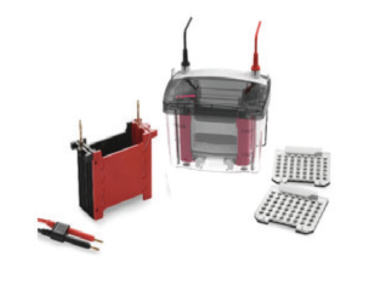 [AP331004] [AP331004] - Mini4 Vertical Blot-TBLOTmini4