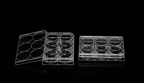 Cell Culture Plate, 6 well, F Bottom, PS, Sterile