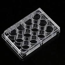 Cell Culture Plate, 12 well, F Bottom, Sterile
