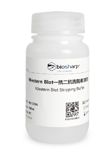 Western Blot Primary and Secondary Antibody Stripping Buffer