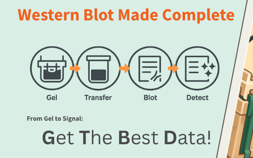 [DS-WBCC-0925] [DS-WBCC-0925] - Western Blot Consumable Combo