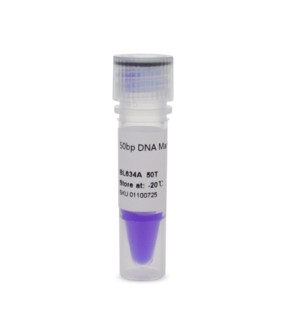 Ready-to-Load DNA Marker/Ladder (50)