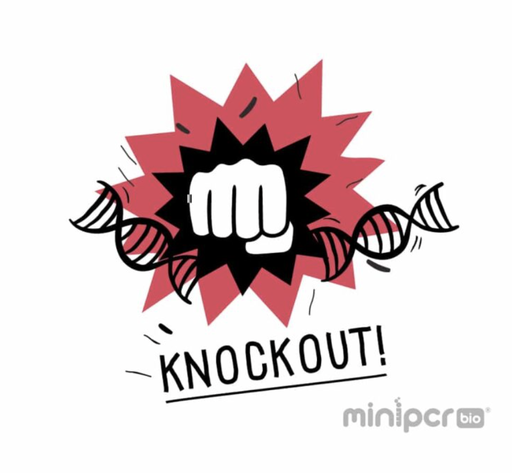 [BA-KT-1800-01] Learning Lab: Knockout! A CRISPR/Cas Gene Targeting Lab